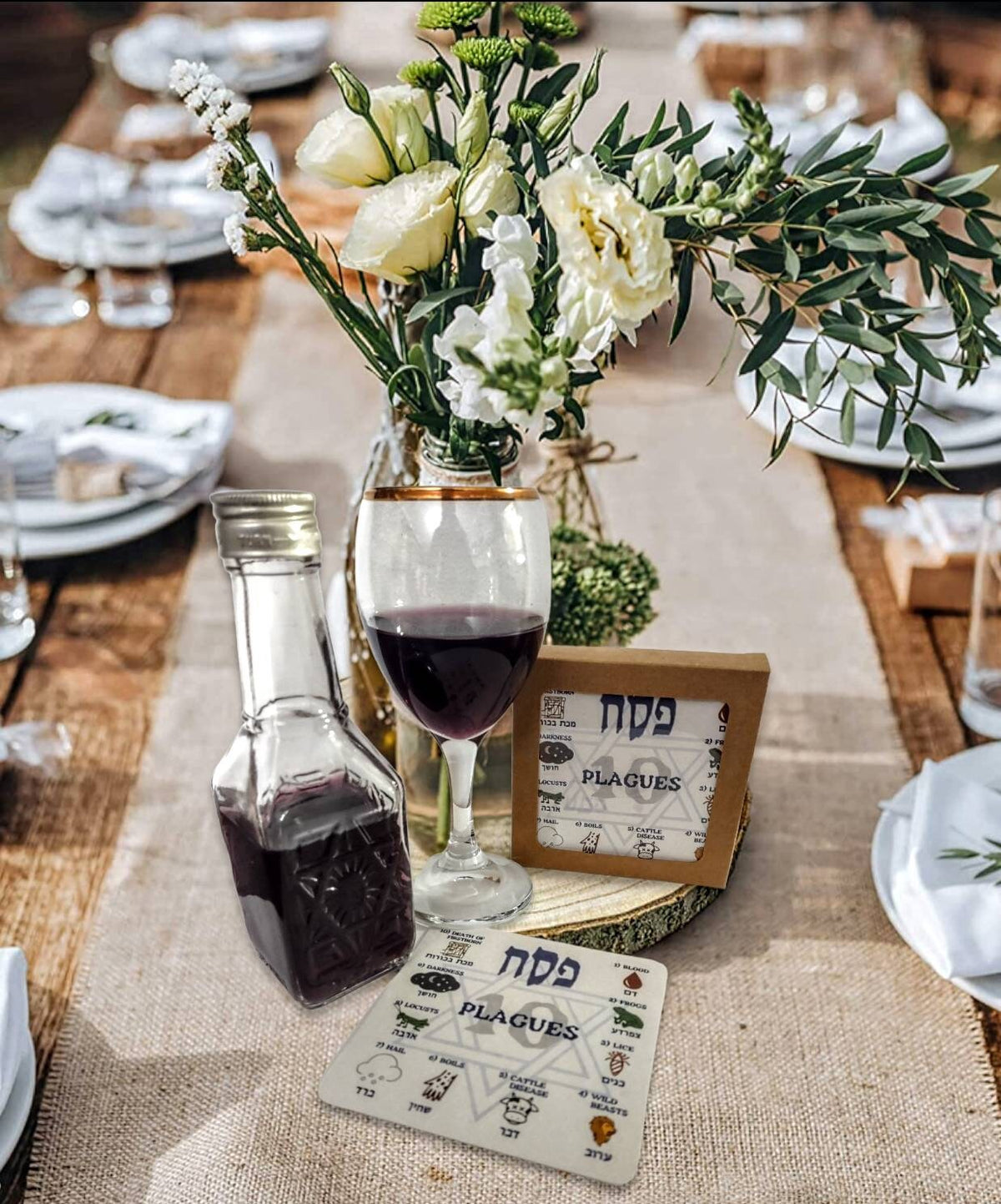 Ten Plagues Seder Wine-Drop Coasters – Set of 12